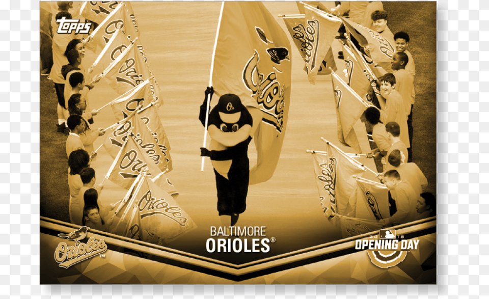 Baltimore Orioles Poster, Person, People, Adult, Man Free Png