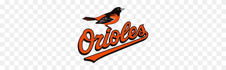Baltimore Orioles Vs Houston Astros Odds Stats, Animal, Bird, Finch, Logo Free Png Download