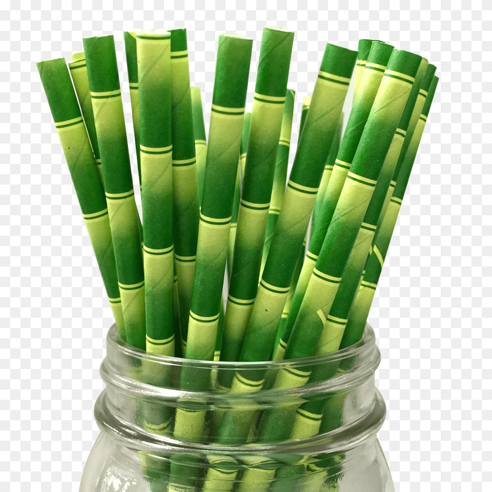 Bamboo, Plant Free Png