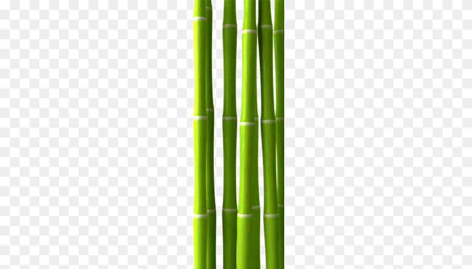 Bamboo, Plant, Smoke Pipe Free Png