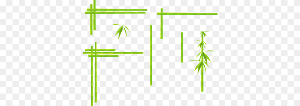 Bamboo Plant Png