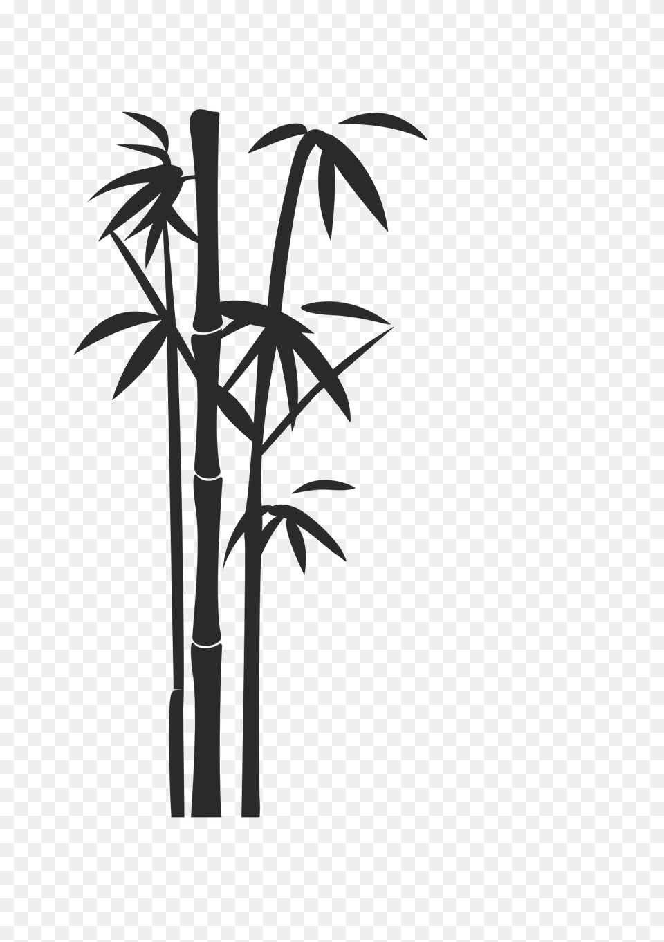 Bamboo, Plant Free Transparent Png