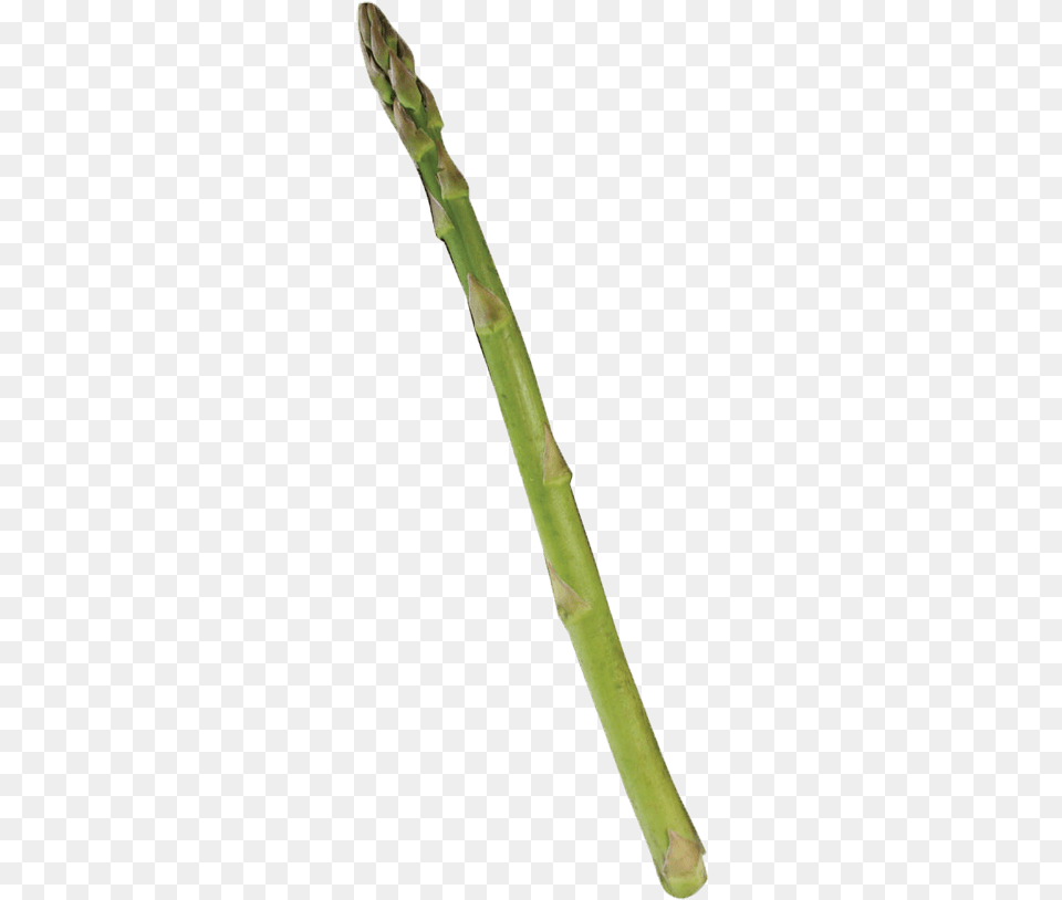 Bamboo, Asparagus, Food, Plant, Produce Png Image