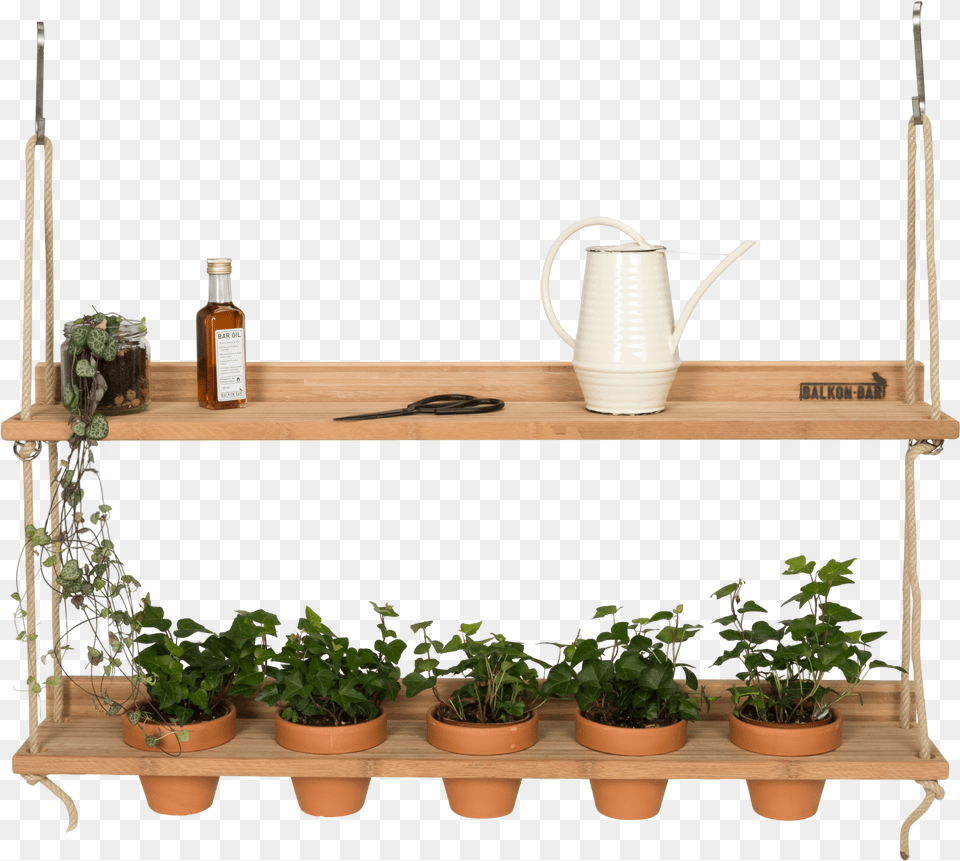 Bamboo, Potted Plant, Shelf, Plant, Pottery Png