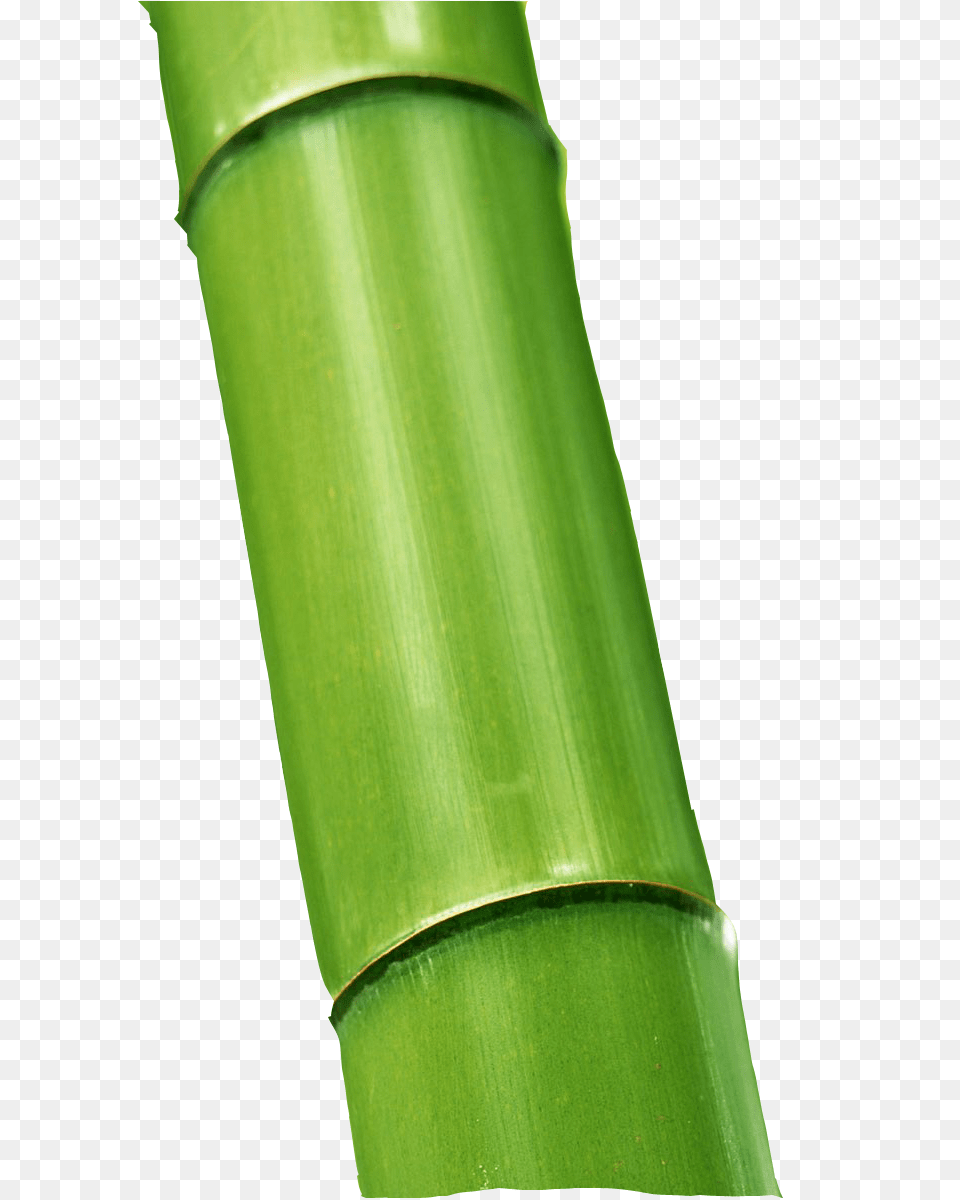 Bamboo, Plant Free Transparent Png