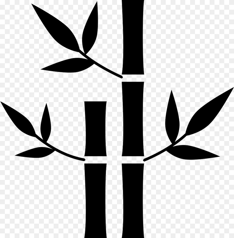 Bamboo, Stencil, Plant Free Transparent Png