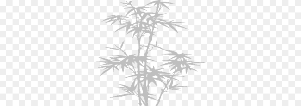 Bamboo Art, Drawing, Person, Outdoors Free Png