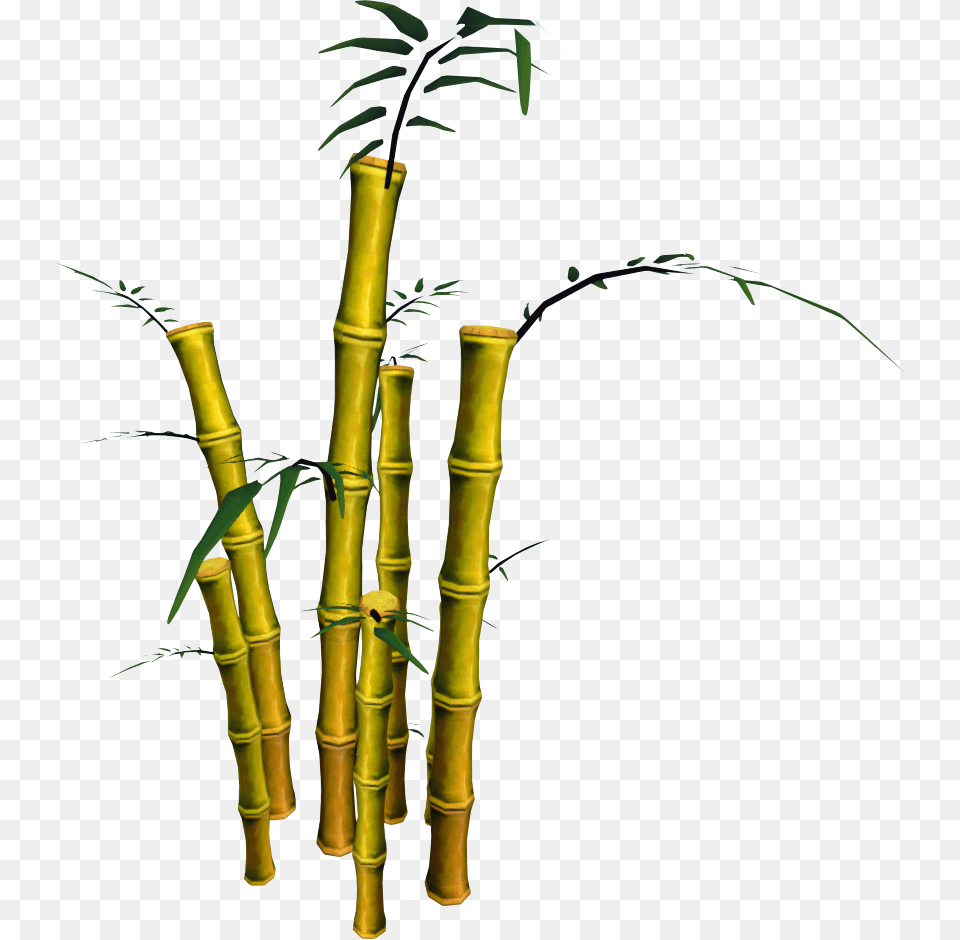 Bamboo, Plant Free Png