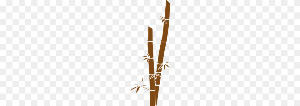Bamboo Plant Free Png