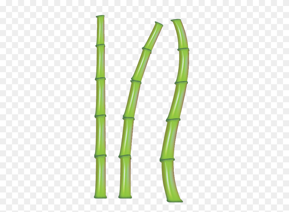 Bamboo, Plant, Bow, Weapon Free Png