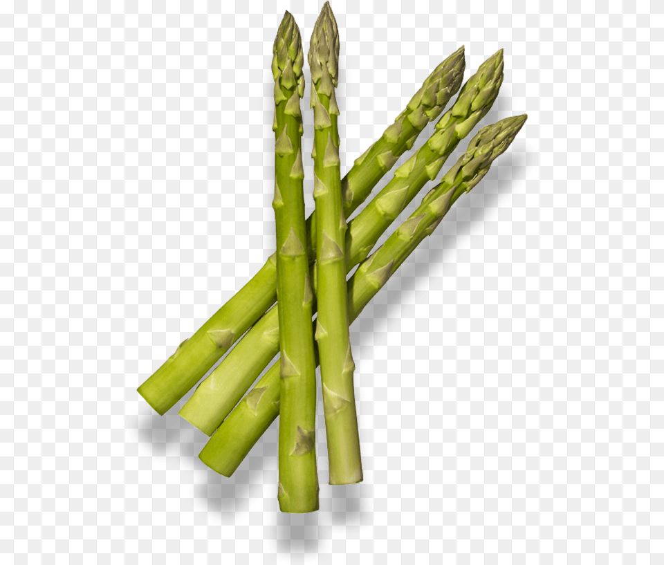 Bamboo, Asparagus, Food, Plant, Produce Free Png Download