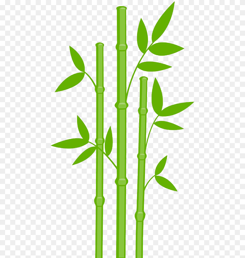 Bamboo, Plant Free Png Download