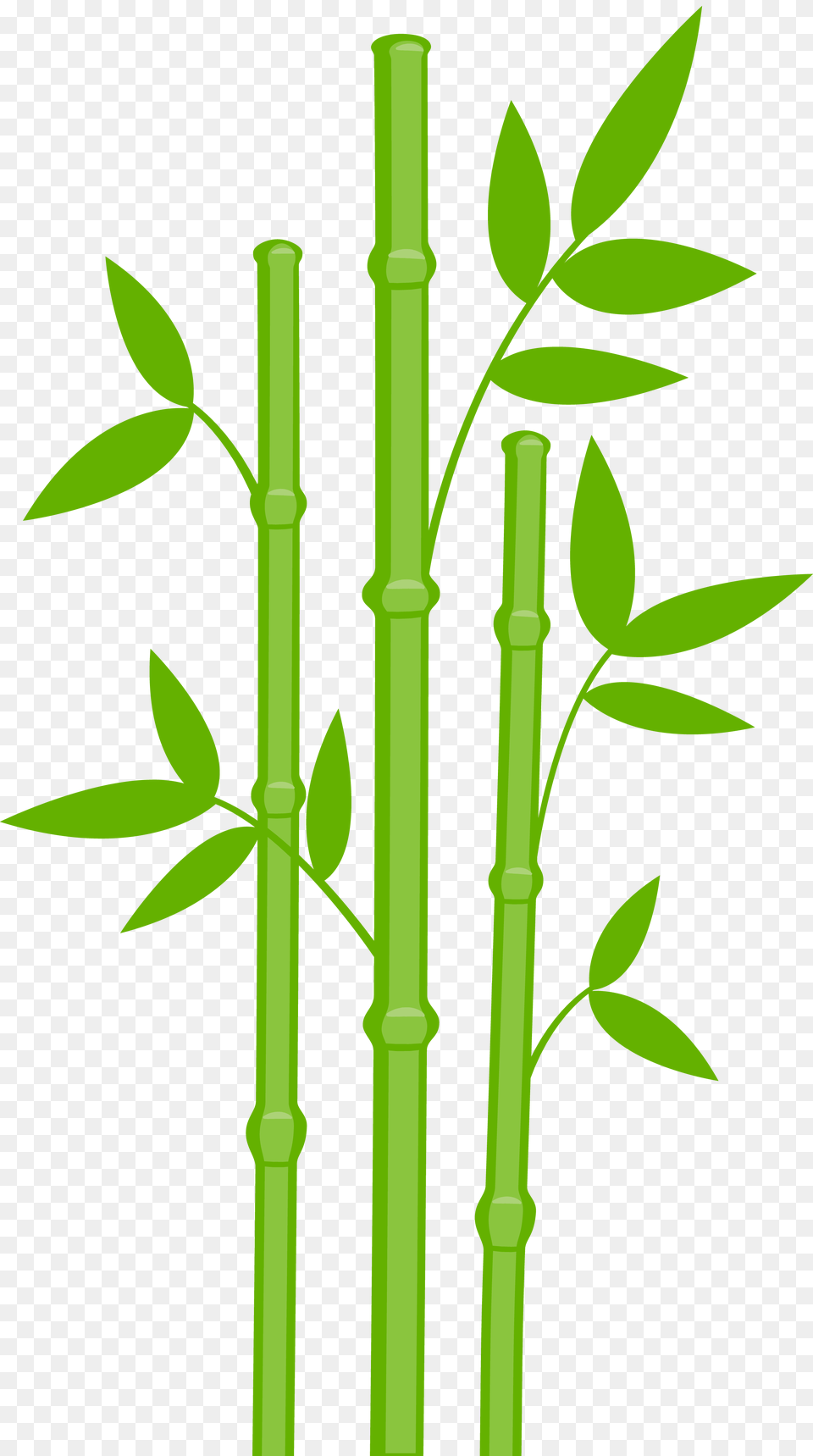 Bamboo, Plant, Cross, Symbol Png
