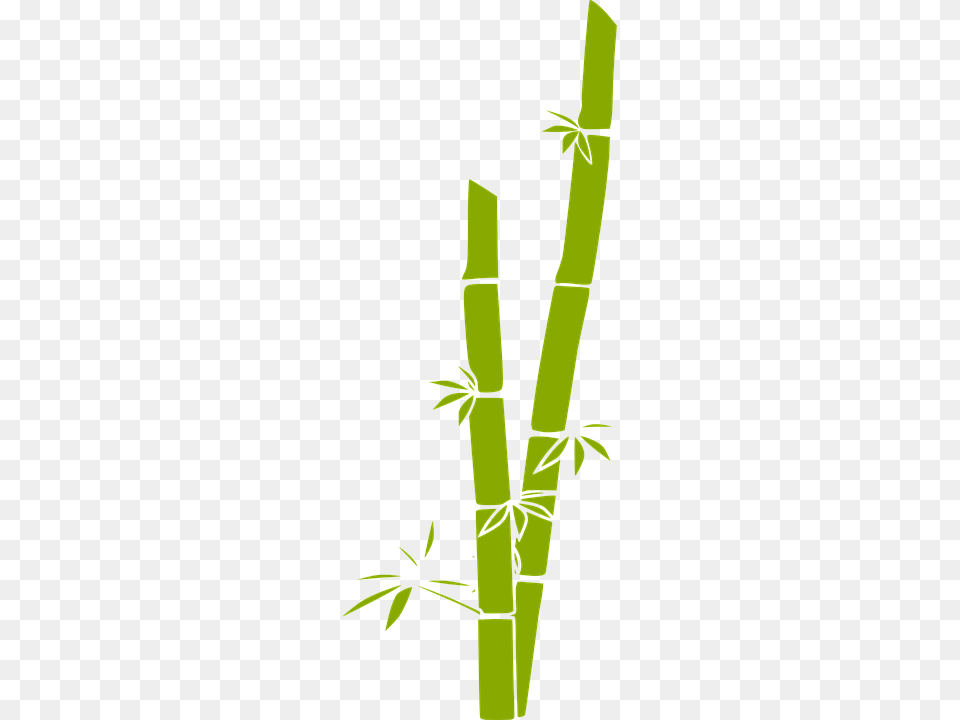 Bamboo, Plant Free Png