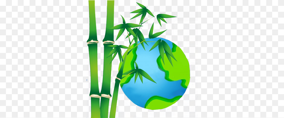 Bamboo, Person, Plant Png