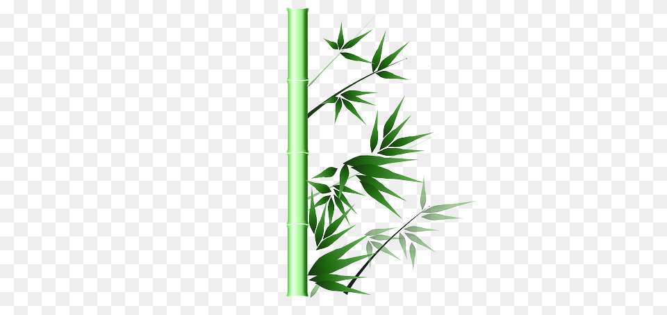 Bamboo, Plant Free Png