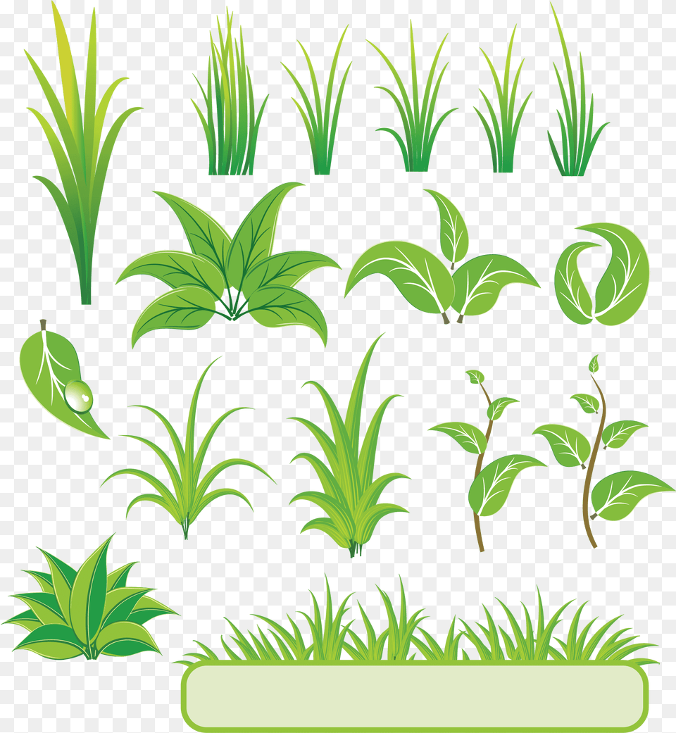 Bamboo And Grass Plant Vector 01 Download Plant Vector, Vegetation, Leaf, Green, Herbs Free Png