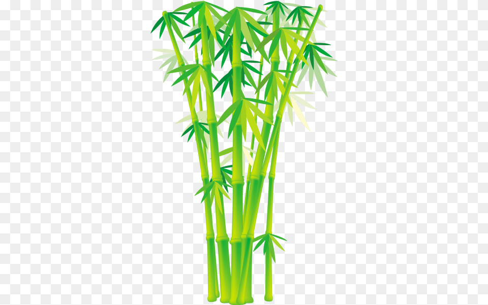 Bamboo And Grass Plant Vector 02 Bamboo Tree Vector Free Png Download
