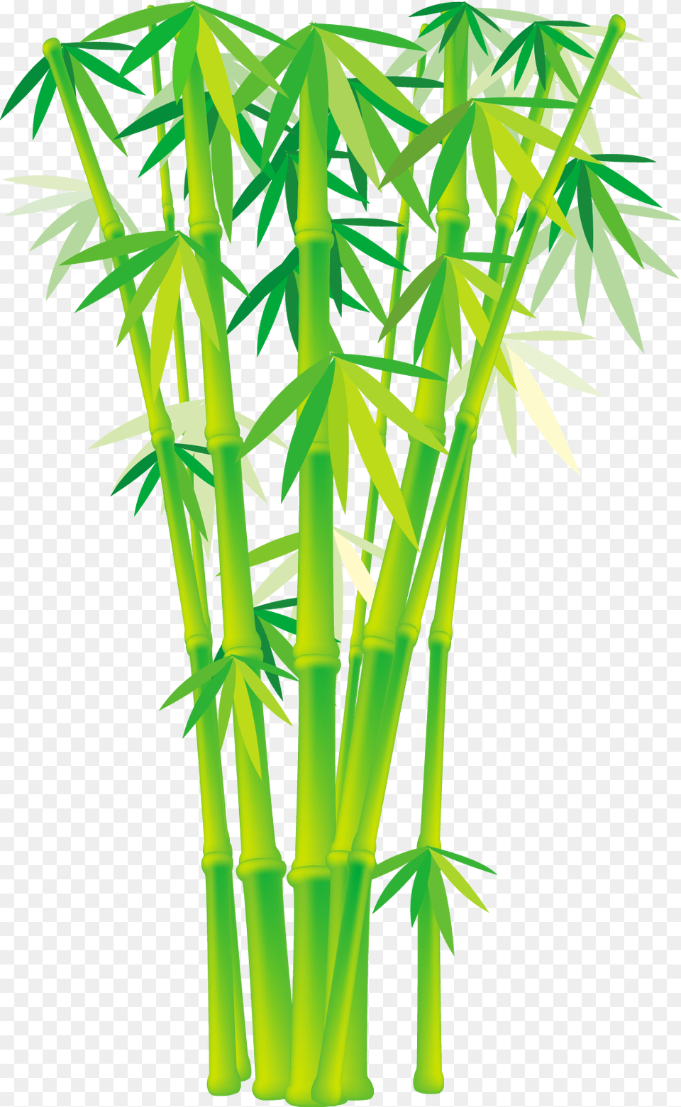 Bamboo And Grass Plant Vector Bamboo Tree Vector Png Image