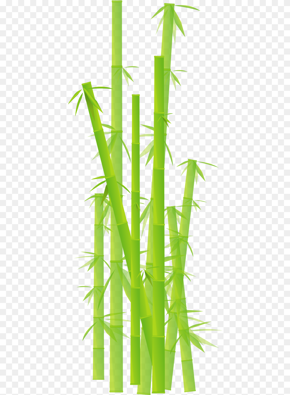Bamboo Background Cliparts National Bamboo Mission Upsc, Plant Free Png