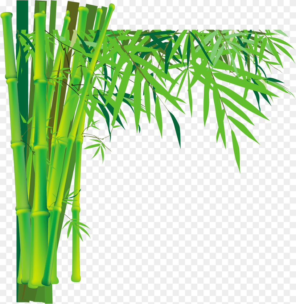 Bamboo Bamboo Transparent Background, Plant Free Png