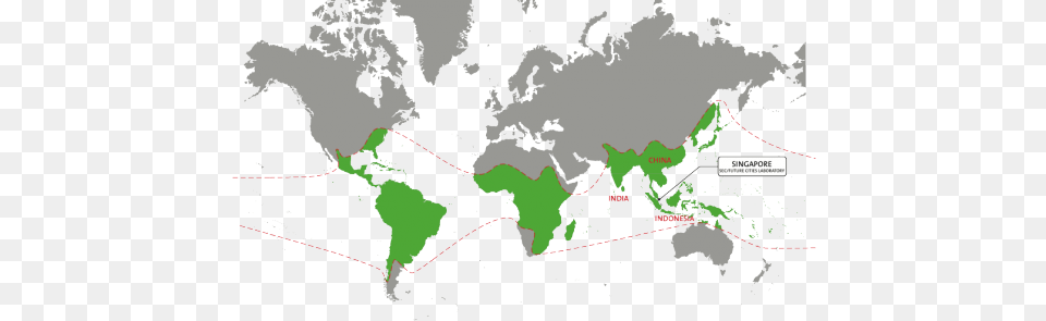 Bamboo Bamboo World Map, Chart, Plot, Atlas, Tree Free Transparent Png