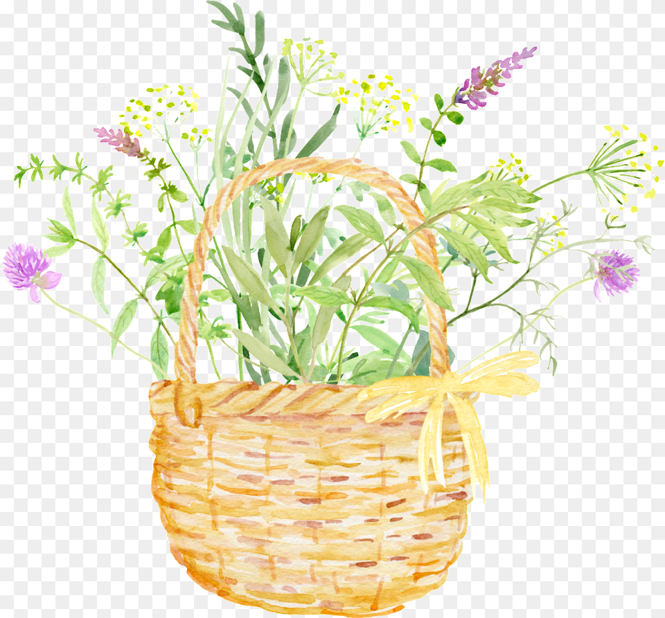 Bamboo Basket Flower Cartoon Transparent Green, Herbal, Herbs, Plant, Flower Arrangement Png