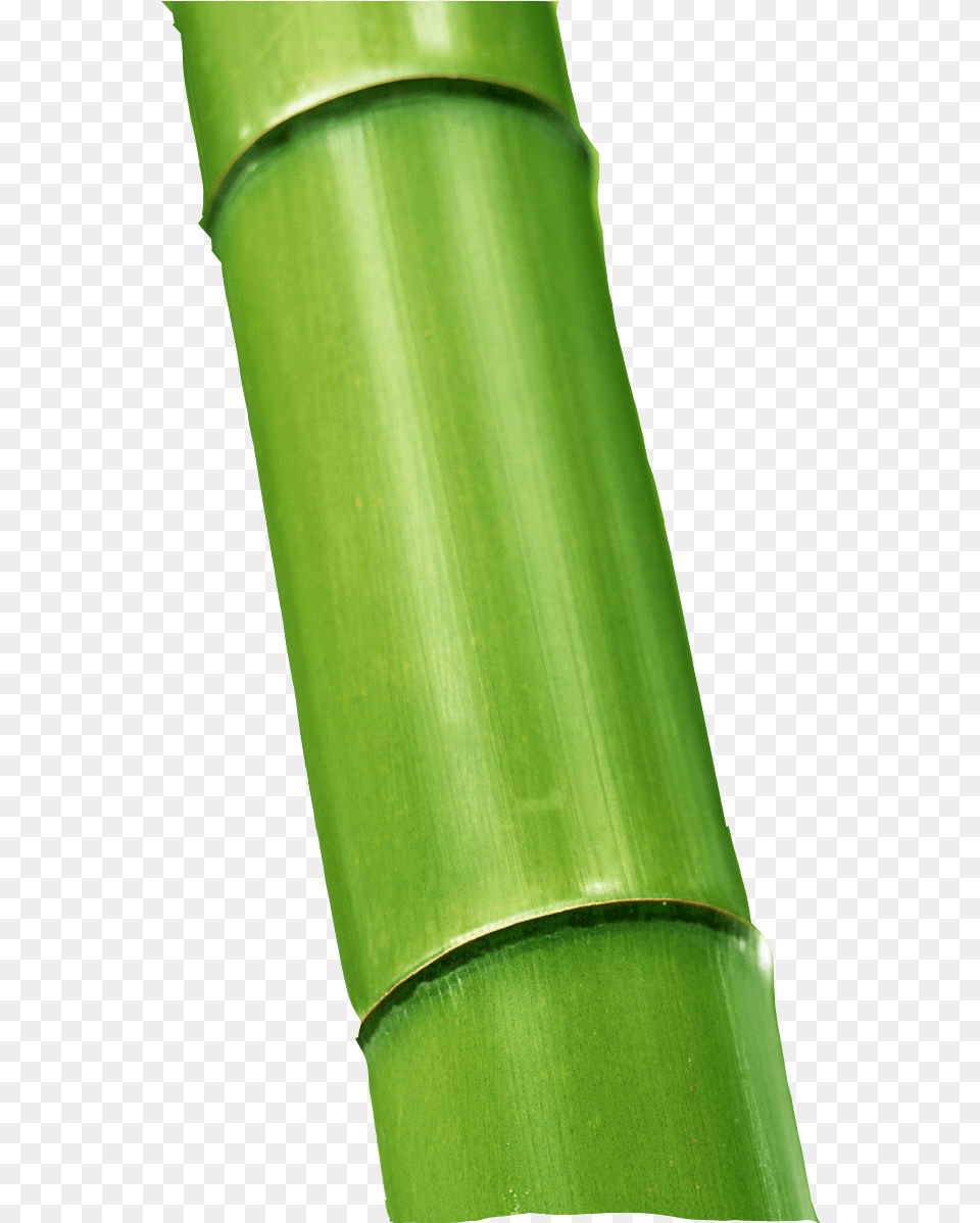 Bamboo Buluh, Plant Free Transparent Png