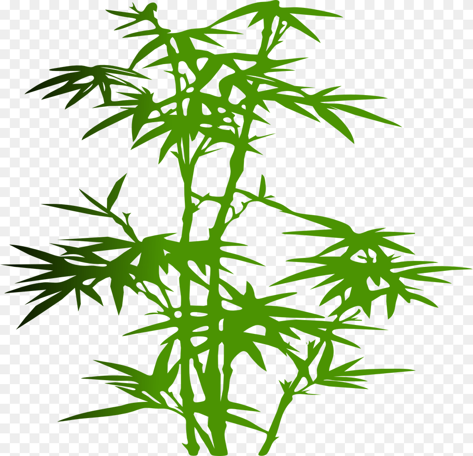 Bamboo Cartoon, Plant Free Png