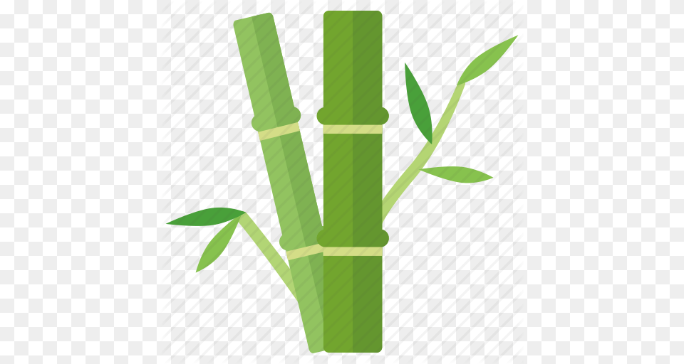 Bamboo China Forest Panda Shoots Tree Icon, Plant Png Image