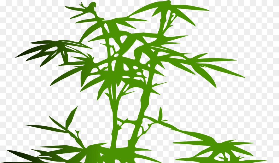 Bamboo Clip Art, Leaf, Plant, Green Free Png