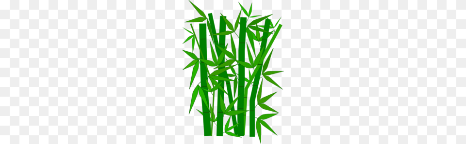 Bamboo Clip Art, Plant Png Image
