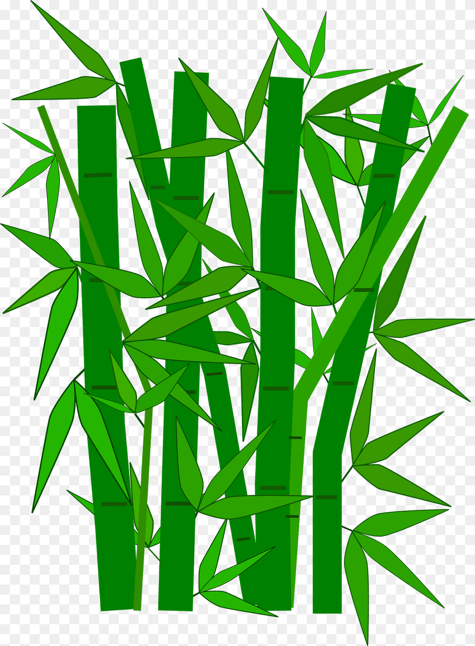 Bamboo Clipart, Plant Png