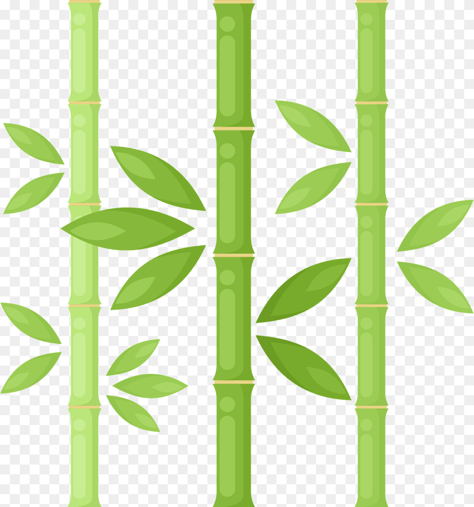 Bamboo Clipart, Plant Png
