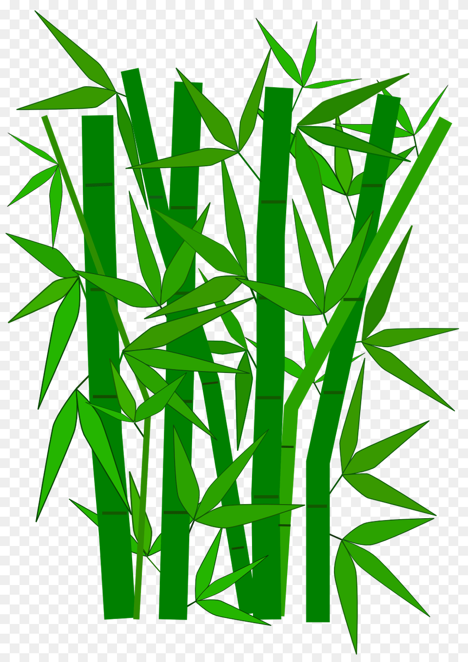 Bamboo Clipart, Plant Png Image