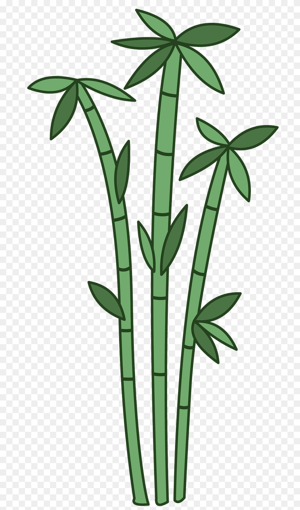Bamboo Clipart, Plant Free Transparent Png