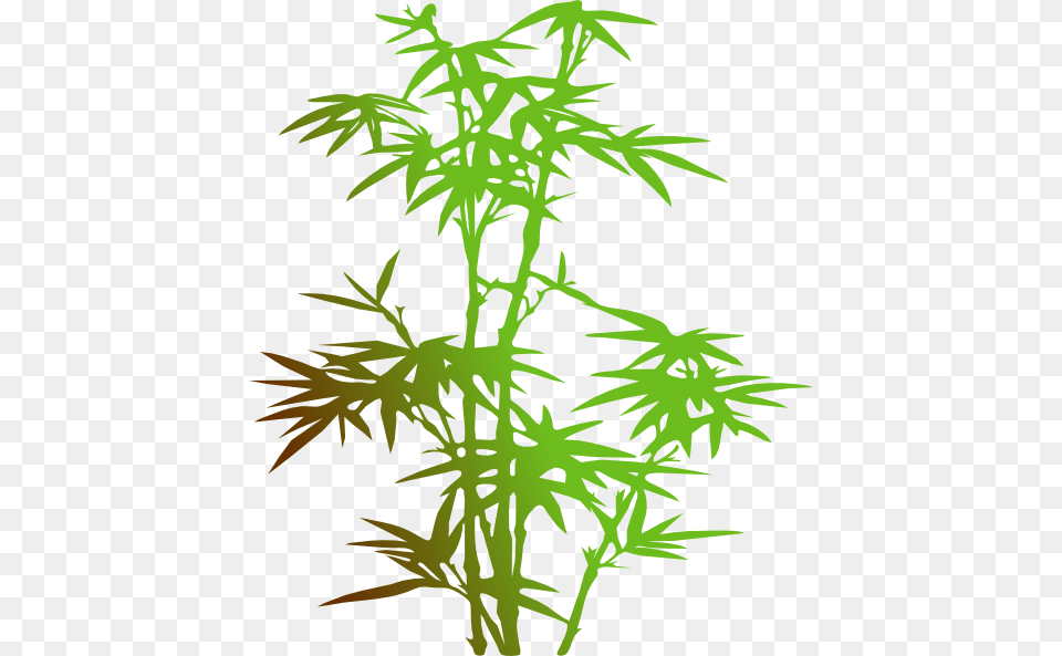 Bamboo Clipart, Plant, Food, Seasoning Png Image