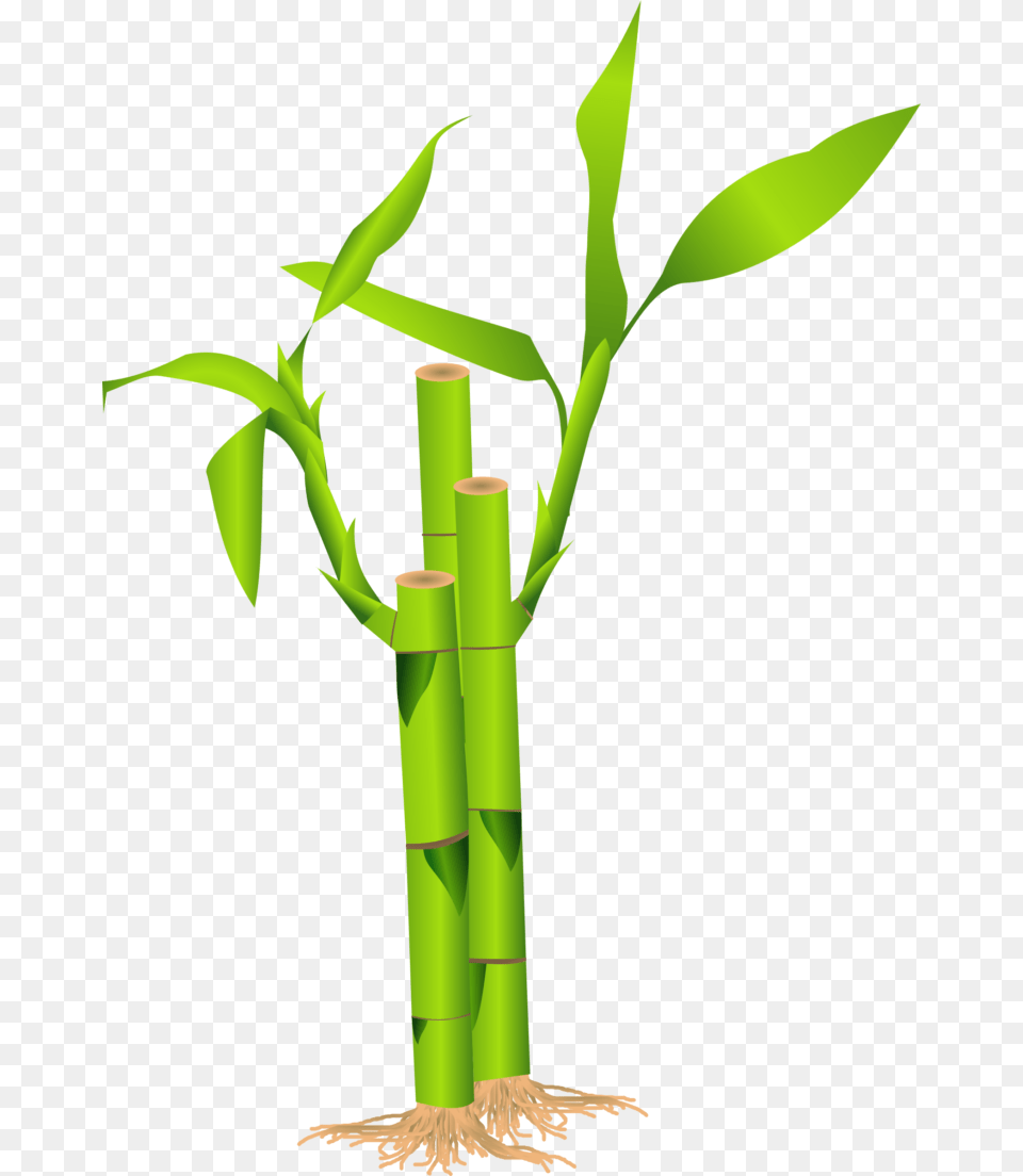 Bamboo Clipart, Plant, Dynamite, Weapon Free Png