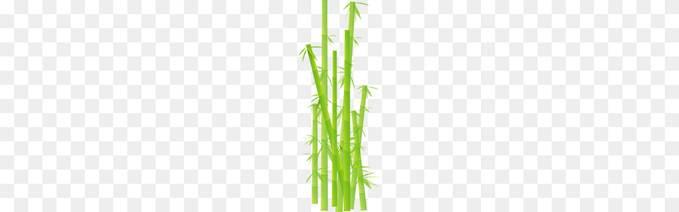 Bamboo Clipart, Green, Plant Free Png Download