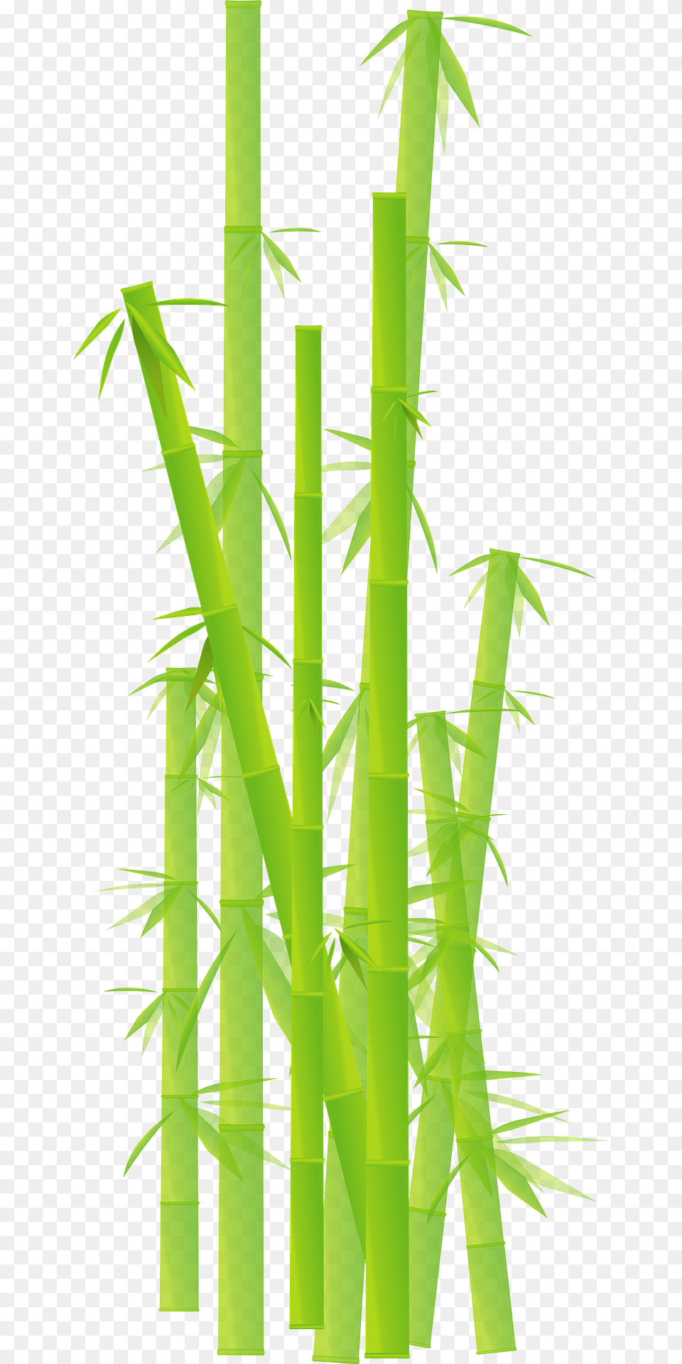 Bamboo Clipart, Plant, Dynamite, Weapon, Bamboo Shoot Png Image