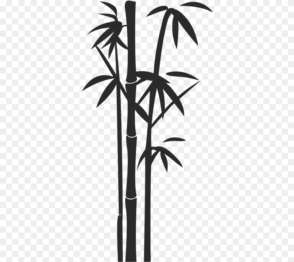 Bamboo Clipart, Plant, Person Free Png Download