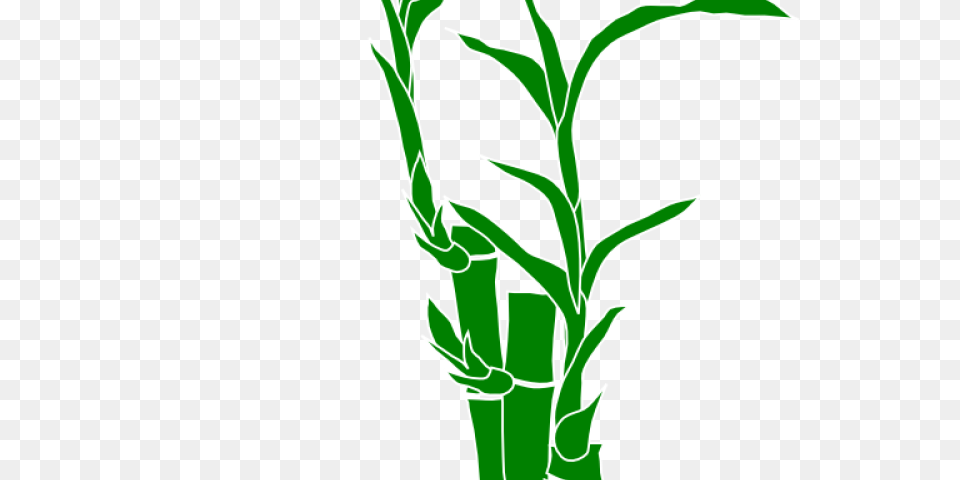 Bamboo Clipart Border, Plant Free Png Download