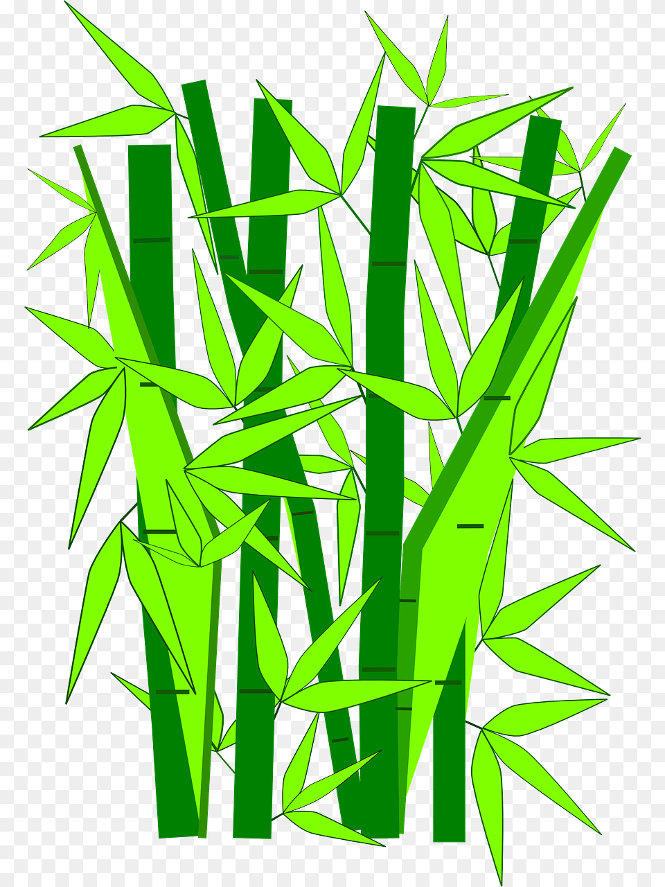 Bamboo Clipart Clipart Of Bamboo, Plant Png