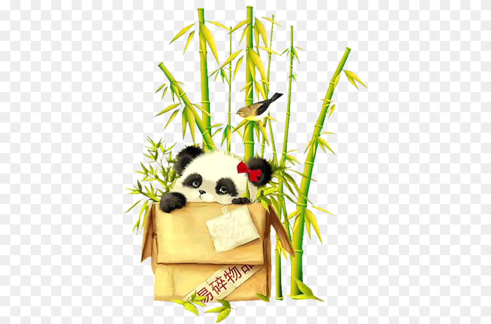 Bamboo Clipart Money Black And White Library Forgetmenot Baby Panda Cute Wallpaper Hd, Plant, Animal, Bird Png Image
