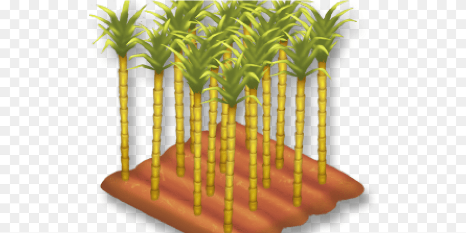 Bamboo Clipart Single Sugarcane Plant Sugarcane, Tree, Birthday Cake, Cake, Cream Free Png