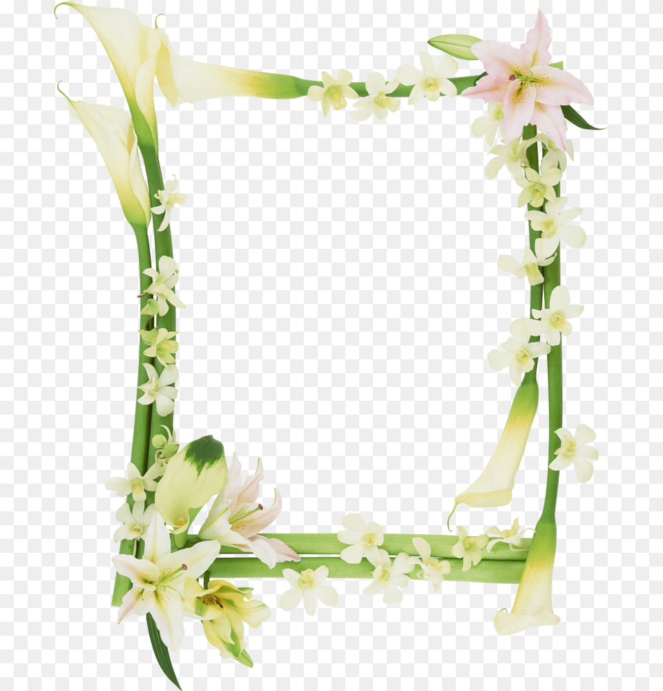 Bamboo Design Frame, Accessories, Flower, Flower Arrangement, Plant Free Png Download