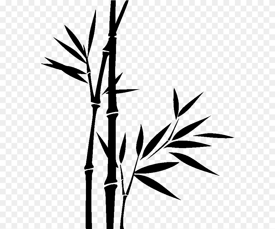 Bamboo Download Bamboo Black And White, Gray Free Png