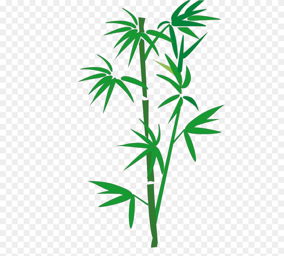 Bamboo Download Bamboo Cartoon, Plant Free Transparent Png