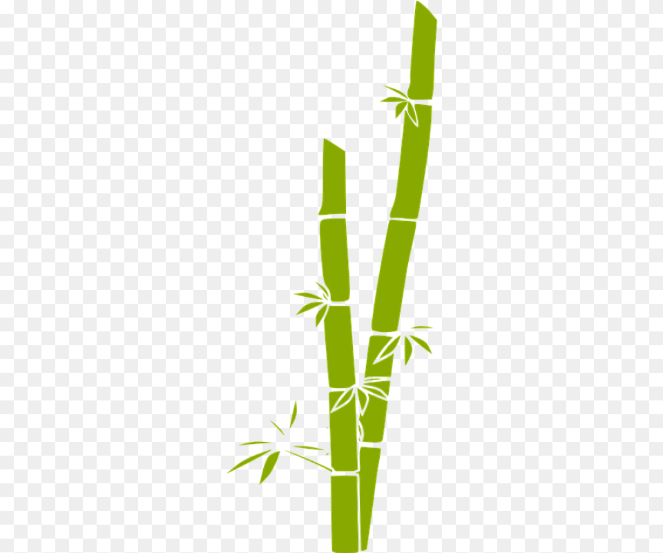 Bamboo Download Image With Transparent Background Bamboo Clip Art, Plant Free Png