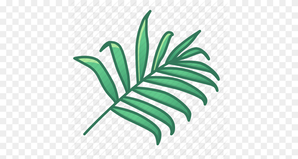Bamboo Green Icons Leaf Leaves Nature Palm Tropic Tropical, Plant, Tree, Fern, Flower Png Image